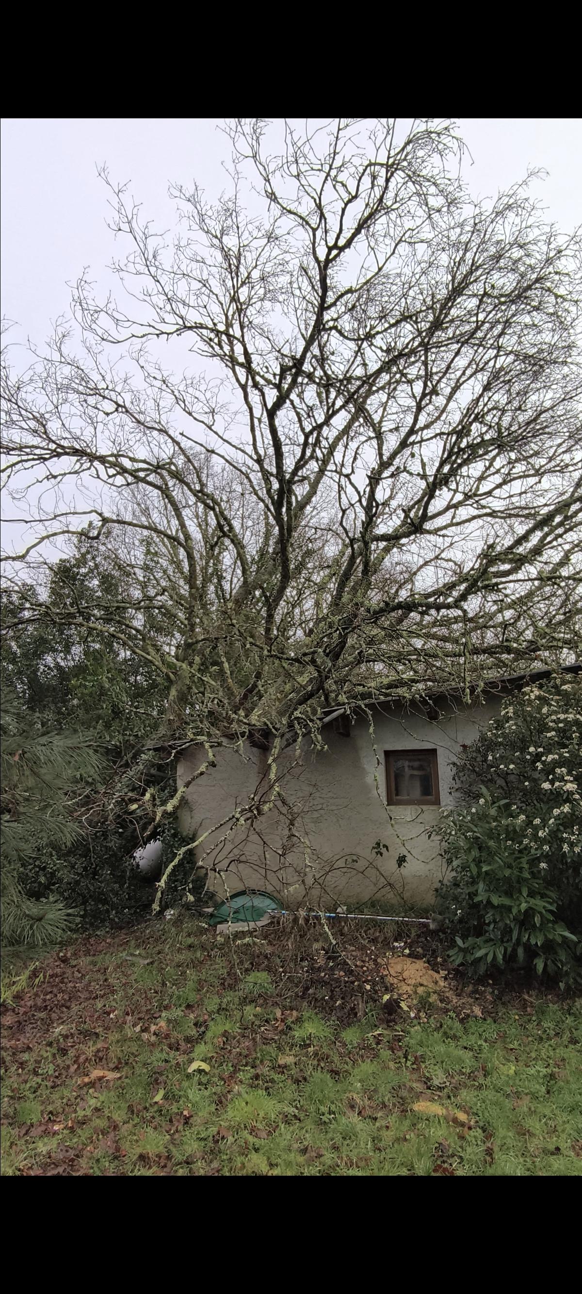 Avant tempête Nils